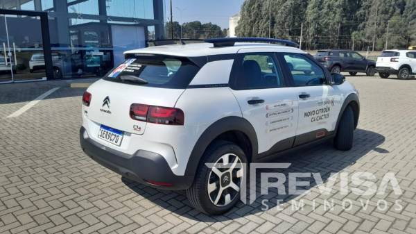 C4 Cactus Shine THP