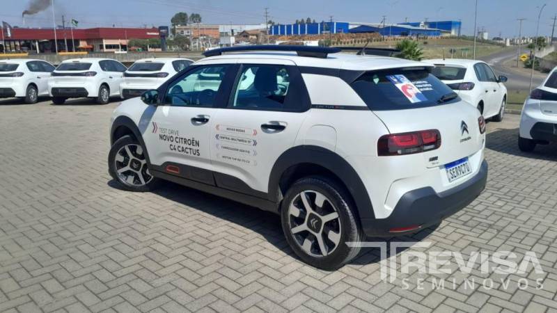 Citroën C4 Cactus Shine THP - 2024